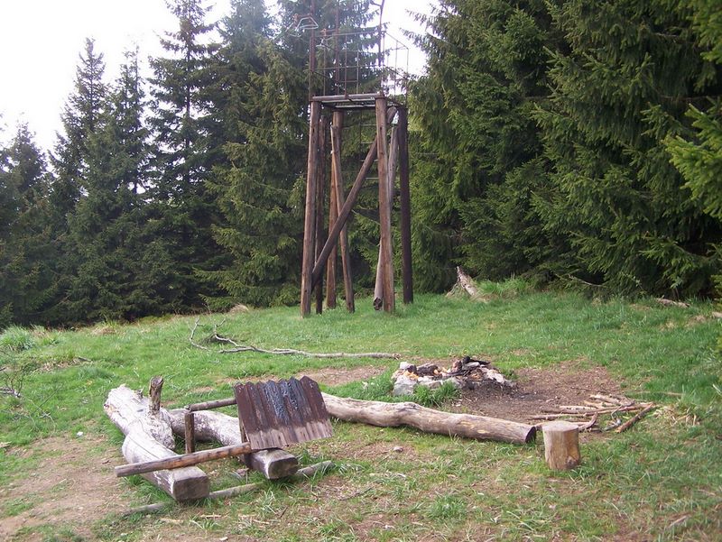 031.jpg