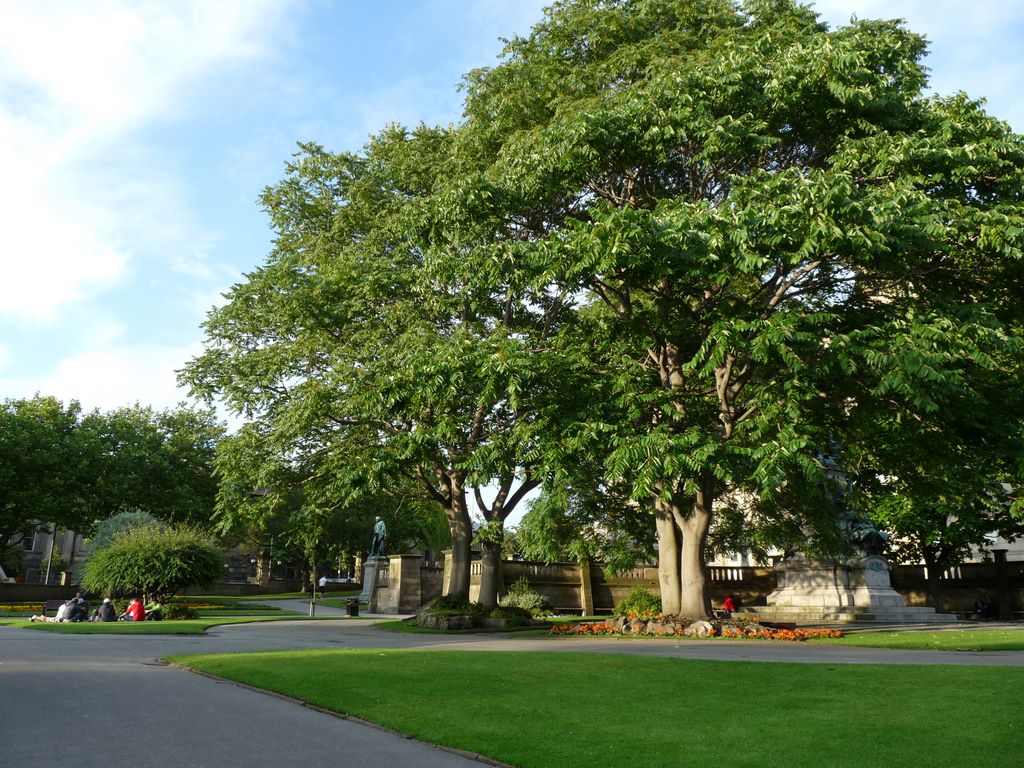 124.jpg