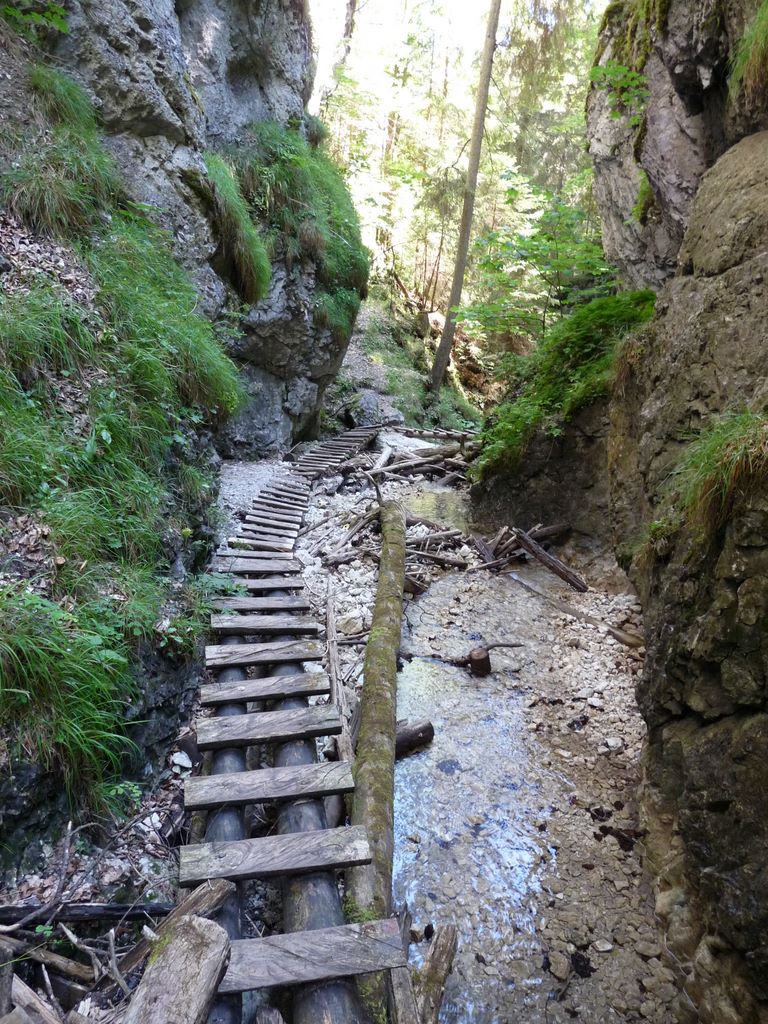 070.jpg