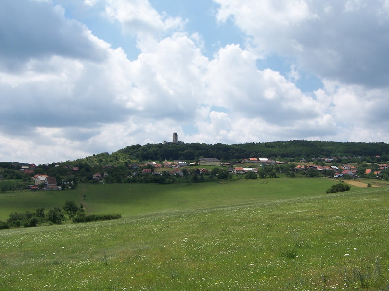 010.JPG