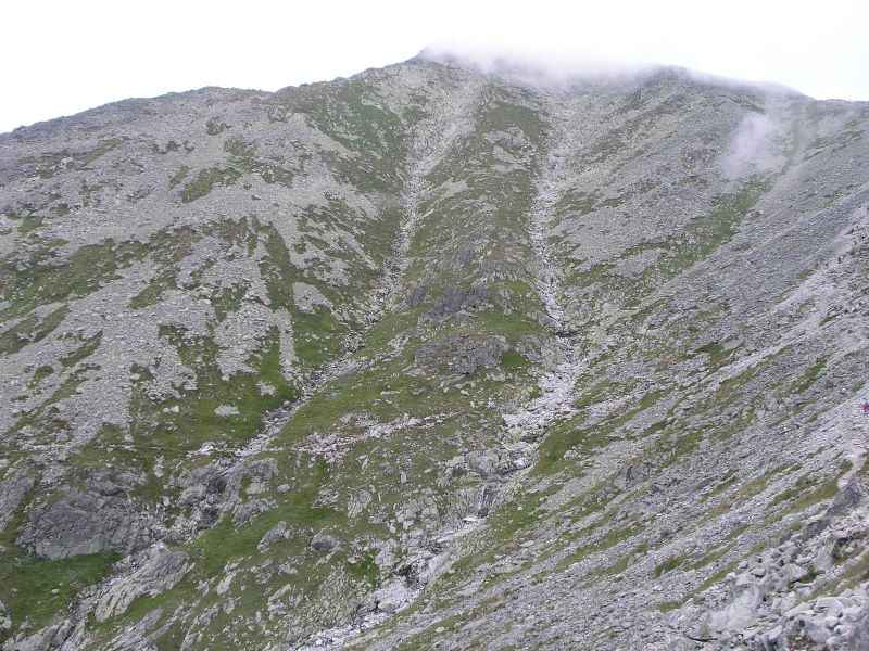 103.jpg
