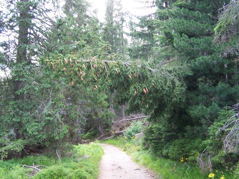 135.jpg