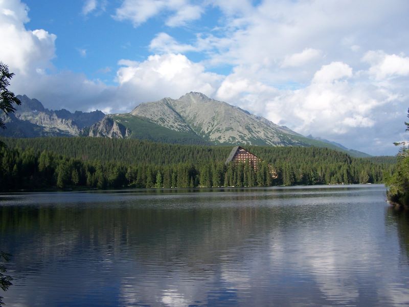 136.jpg