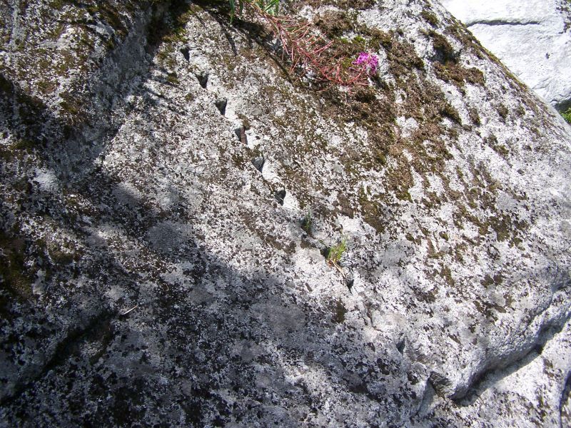 146.jpg
