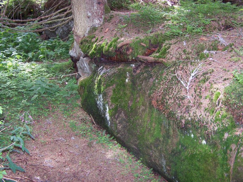 154.jpg