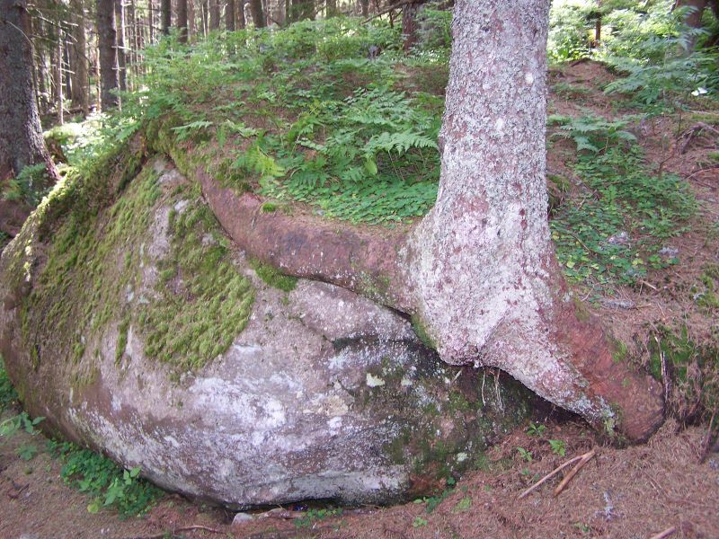 155.jpg