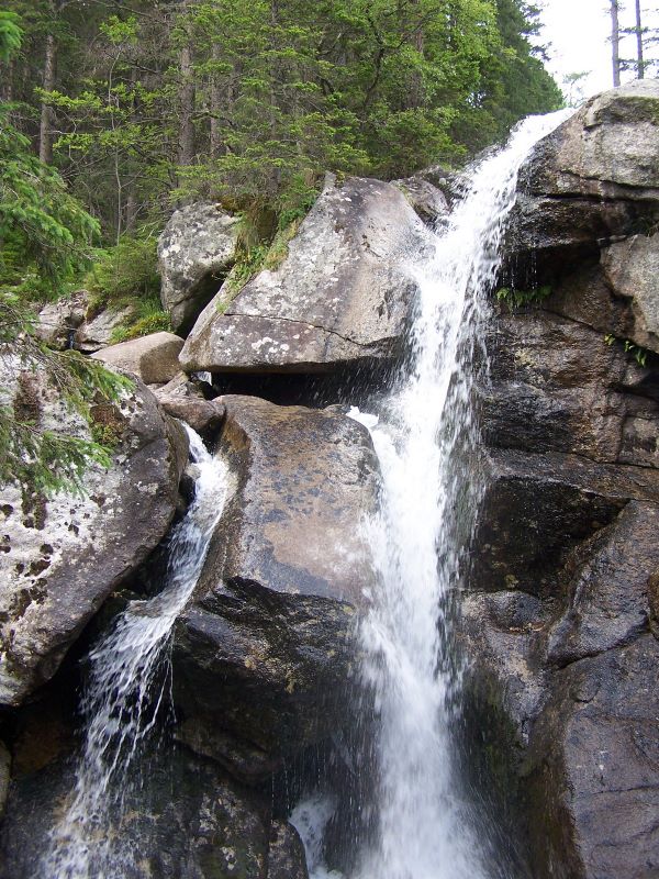 174.jpg