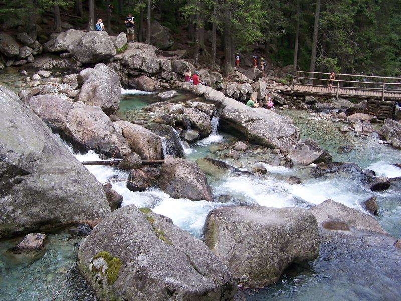 176.jpg