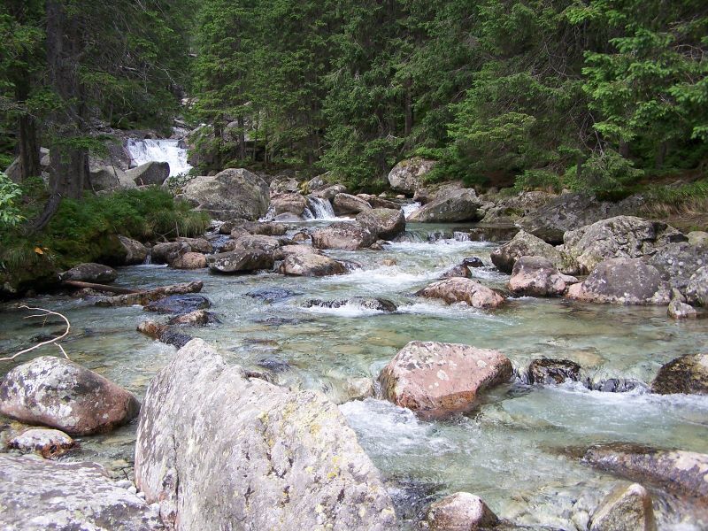 191.jpg