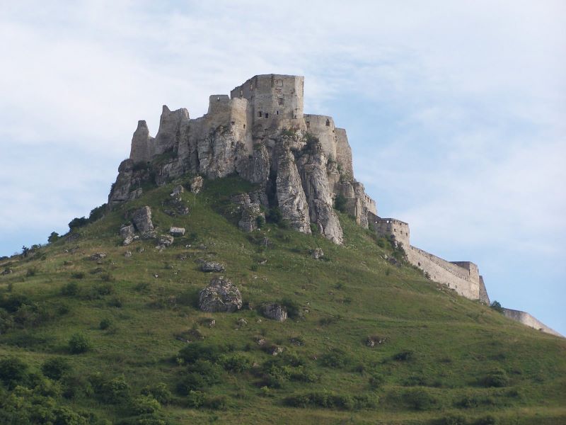 194.jpg