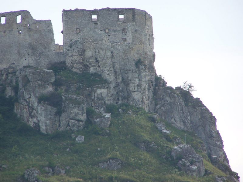196.jpg
