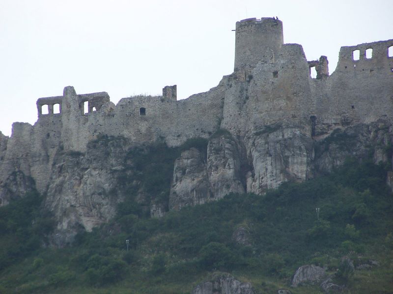 197.jpg