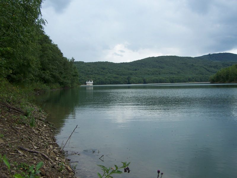 207.jpg