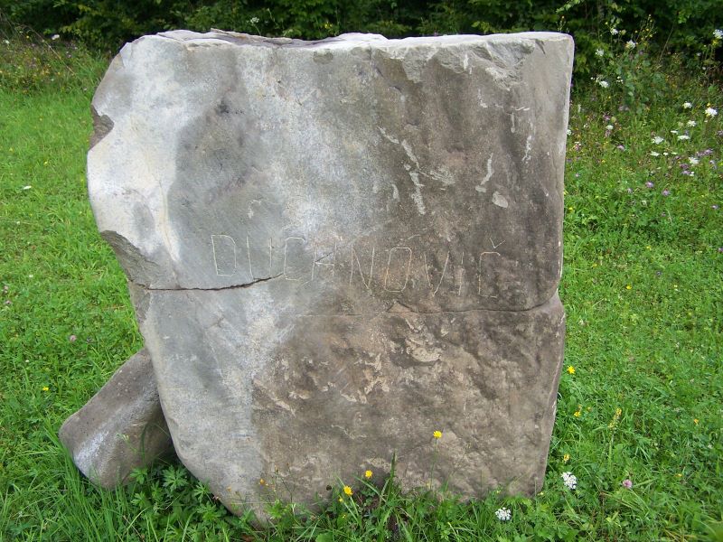 220.jpg