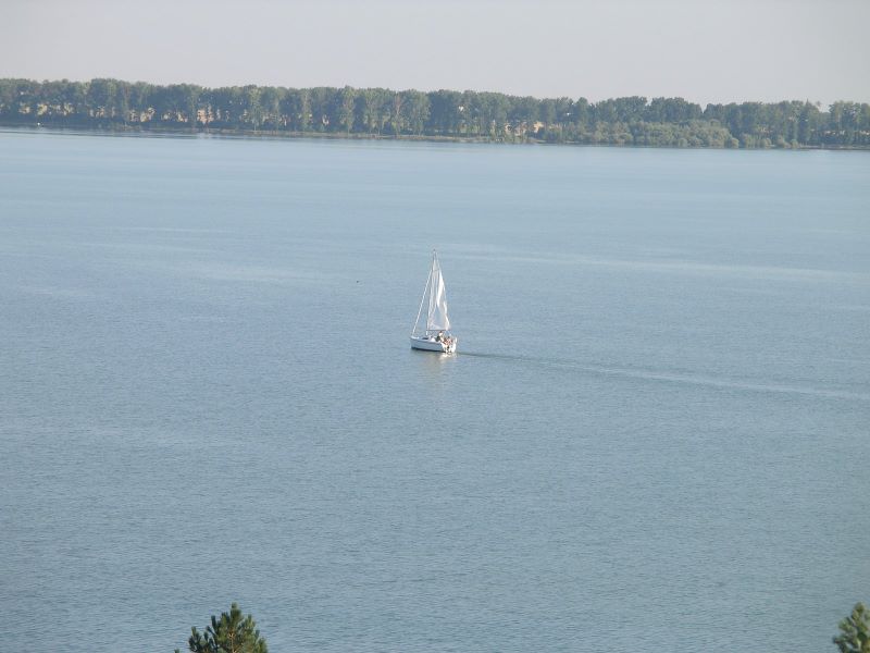 236.jpg