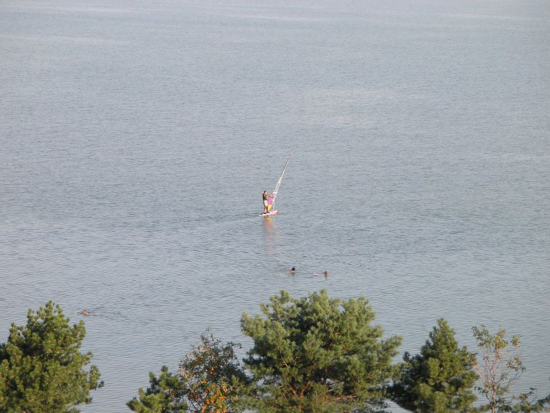 237.jpg