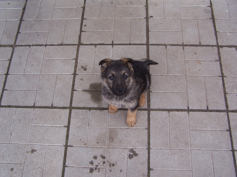 06.JPG