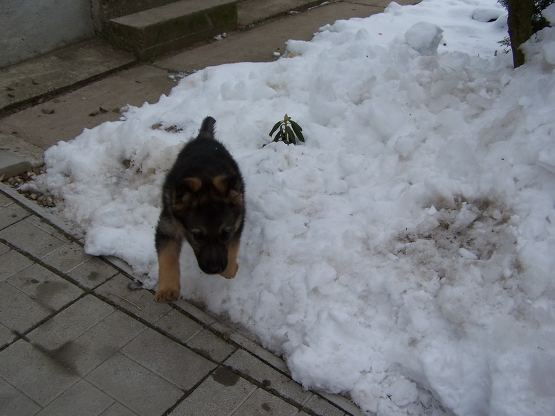 07.JPG