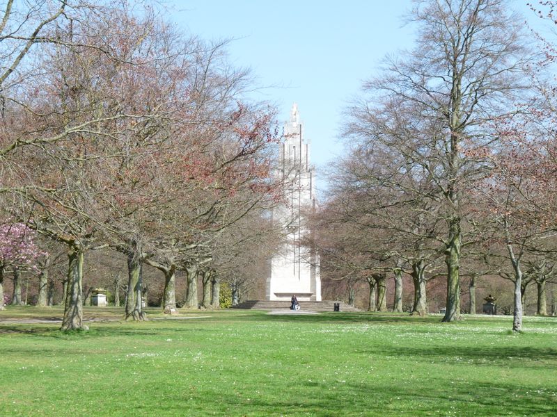 010.jpg