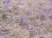 0181.jpg